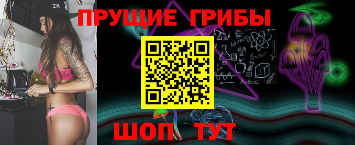 Каменск-Шахтинский  Галлюциногенные грибы Cubensis  Вход с VPN 