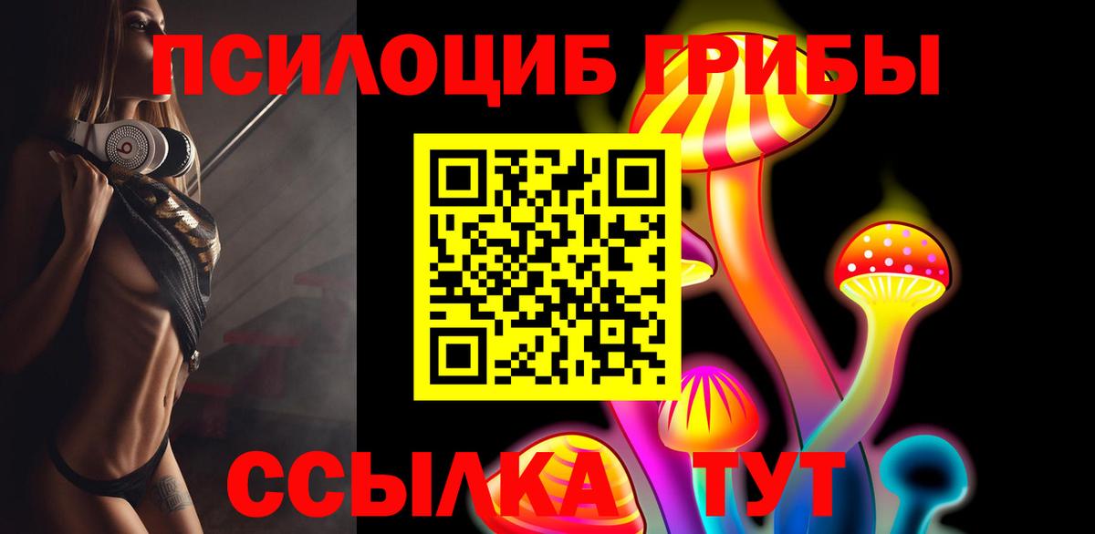 Псилоцибиновые грибы прущие грибы Каменск-Шахтинский